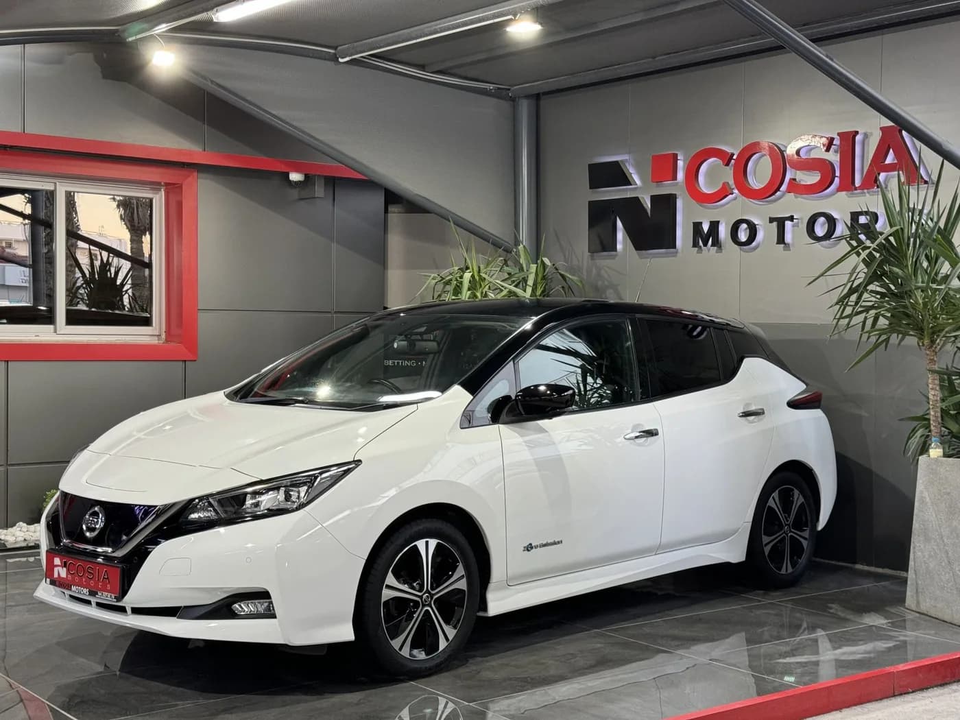 Nissan Leaf 2020